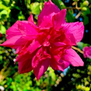 Meet your Posher, Marcy